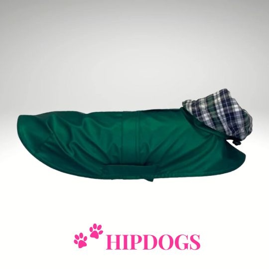 tQel – Mode & Accessoires voor Teckels tQel raincoat TinTin Shine Green