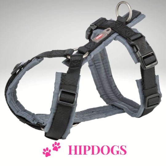Trixie halsband hond premium choker zwart (35-50X2 CM