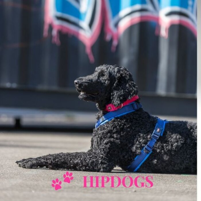 Trixie Trixie Premium Trekking Tuig Indigo/Royal Blauw