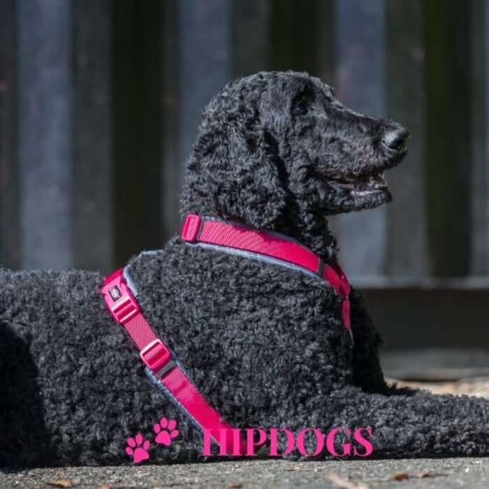 Trixie Trixie Premium Trekking Tuig Fuchsia/Grafiet