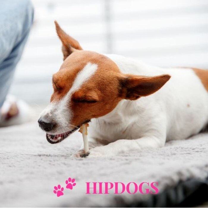 Trixie Hondensnack Lolly met kip en kaas