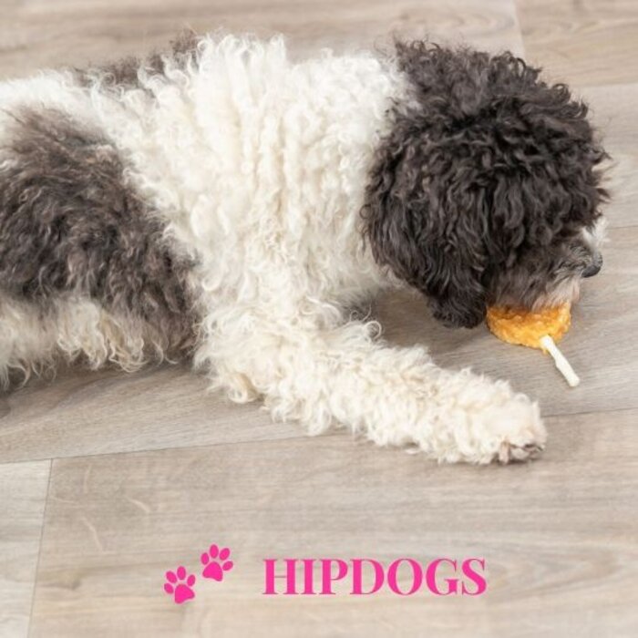 Trixie Hondensnack - Premio Lolly met kip en rijst