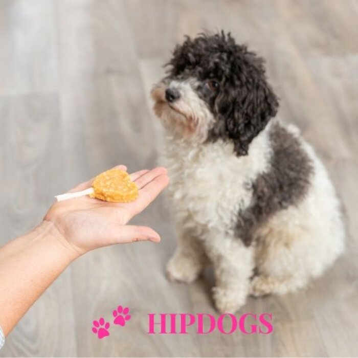 Trixie Hondensnack - Premio Lolly met kip en rijst