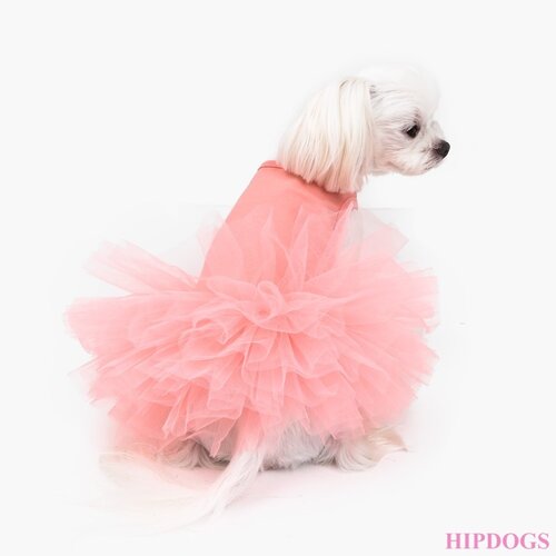 Uitverkoop honden kleding