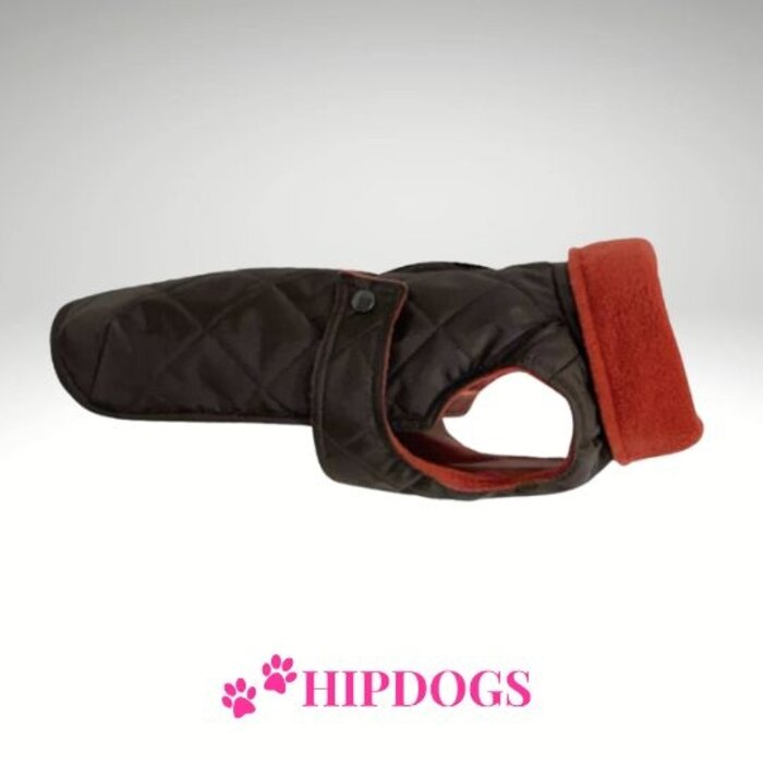 tQel – Mode & Accessoires voor Teckels tQel teckel jas Maxi Brown - waterproof