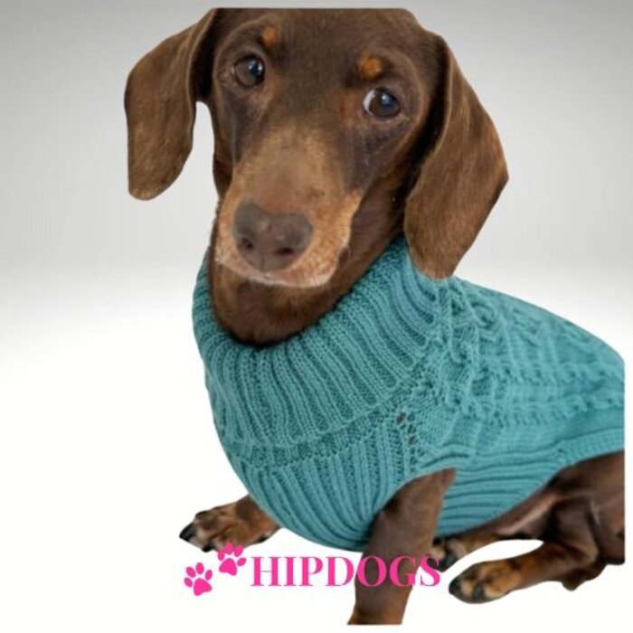 tQel – Mode & Accessoires voor Teckels tQel Teckeltrui Paul Aquamarine