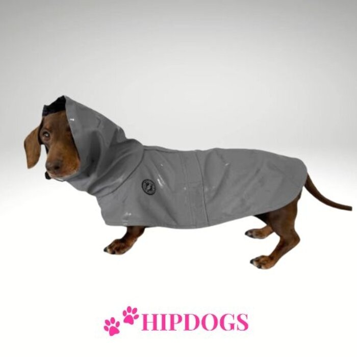 tQel – Mode & Accessoires voor Teckels tQel raincoat TinTin Grijs Shark