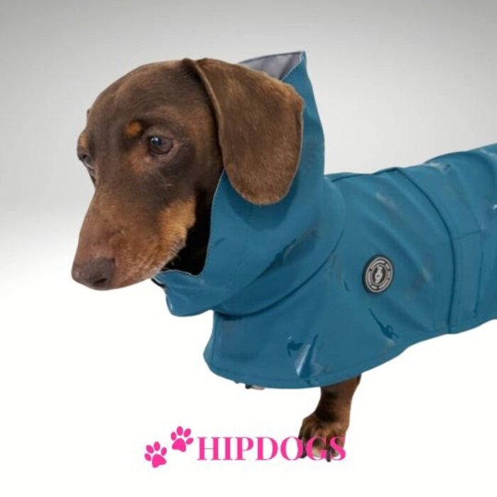 tQel – Mode & Accessoires voor Teckels tQel raincoat TinTin Aqua Dino
