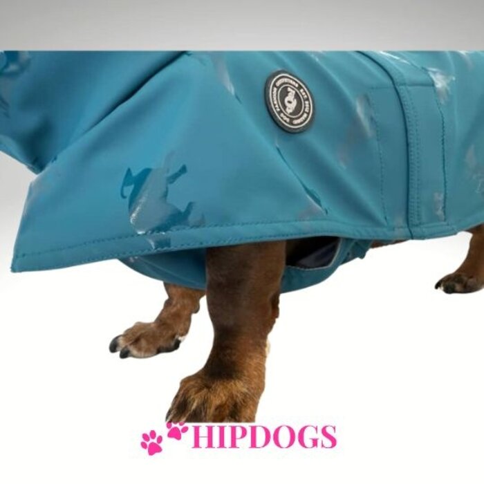 tQel – Mode & Accessoires voor Teckels tQel raincoat TinTin Aqua Dino