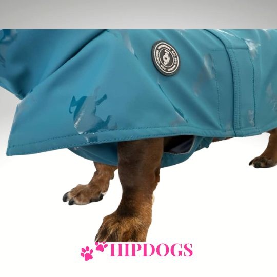 tQel – Mode & Accessoires voor Teckels tQel raincoat TinTin Aqua Dino