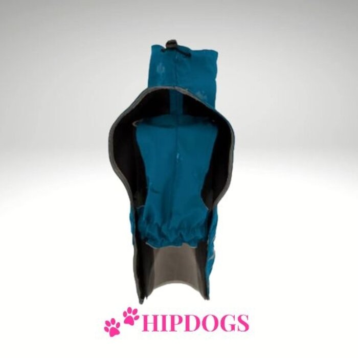 tQel – Mode & Accessoires voor Teckels tQel raincoat TinTin Aqua Dino