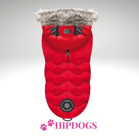 Milk & Pepper Milk & Pepper Hondenjas Dons Darius Rood