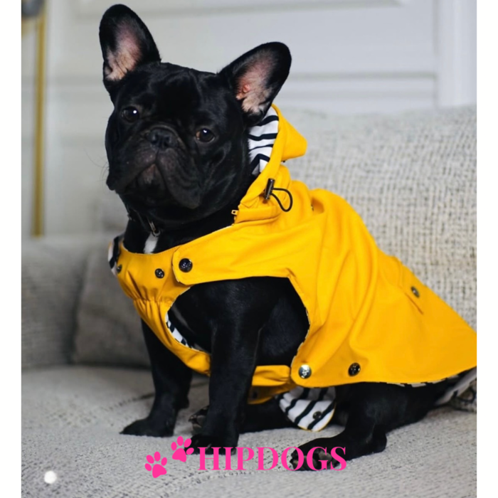 Milk & Pepper Milk & Pepper Babord honden regenjas geel