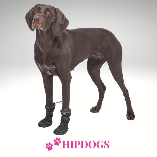 Trixie Trixie Potenbescherming Walker Active Long