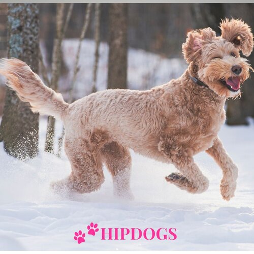 Seizoensgericht zoeken