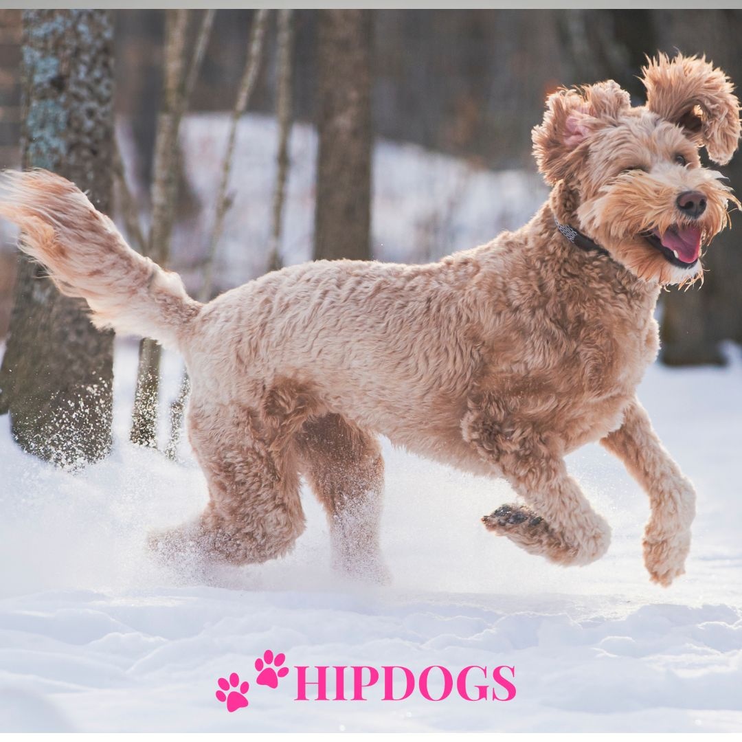 Seizoensgericht zoeken