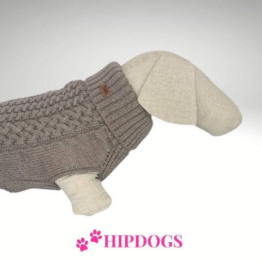 tQel – Mode & Accessoires voor Teckels tQel Teckeltrui Camel