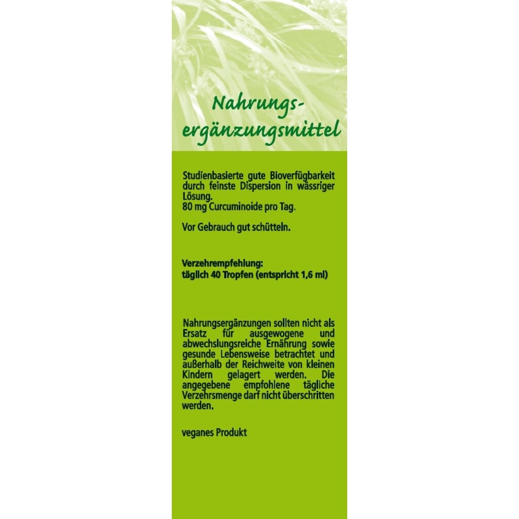 Curcumin Flüssig-Extrakt CurMizell