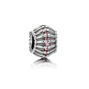 Pandora Pandora charm 790545CZS