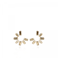 Lott Earrings CESW760-G37505