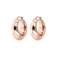 Bronzallure Earrings WSBZ01629.R