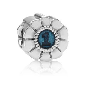 Pandora Pandora charm 790519EN08