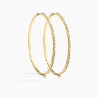 Eline Rosina Oorbellen E13-PLATED