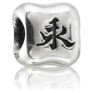 Pandora Pandora charm 790190