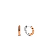 Ti Sento Earrings 7811SR