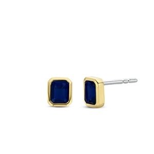 Ti Sento Ti Sento Earrings 7893BY