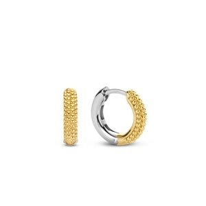 Ti Sento Ti sento Earrings 7894SY Ti Sento Ti sento Earrings 7894SY