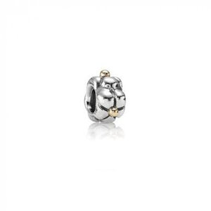 Pandora Pandora charm 790125