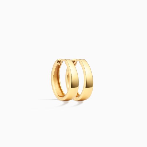 Eline Rosina Eline Rosina Oorbellen Gia Hoops D6-Goldplated