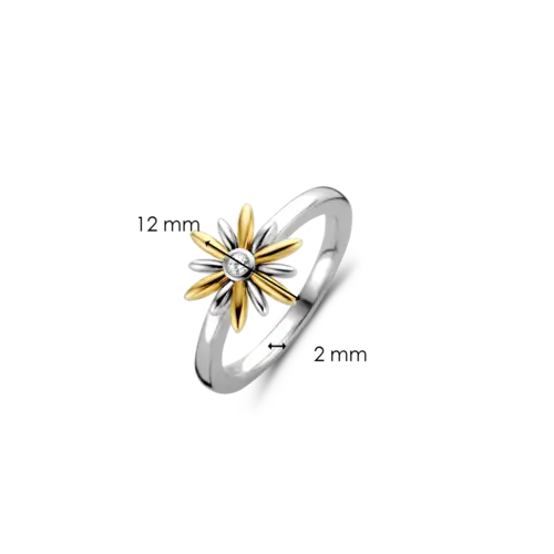 Ti Sento Ti Sento ring 12244ZY/52 Ti Sento Ti Sento ring 12244ZY/52