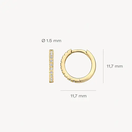 Blush Blush Oorbellen 7307YZI Blush Blush Oorbellen 7307YZI