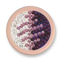 Mi Moneda Munt DD-14-M