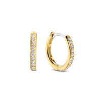 Ti Sento Earrings 7812ZY