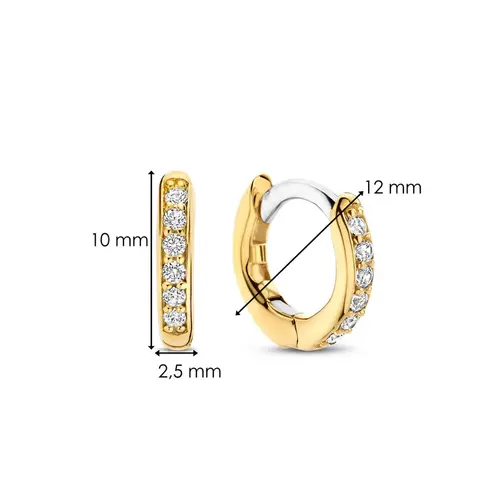 Ti Sento Ti Sento Earrings 7811ZY