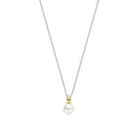 Ti Sento Ketting 34037YP/42