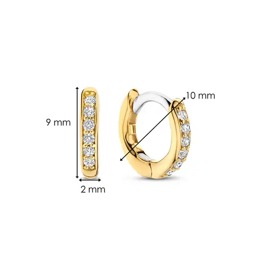 Ti Sento Ti Sento Earrings 7954ZY