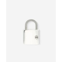 Buddha to Buddha Hanger 697 Padlock
