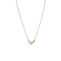 Zinzi Ketting ZIC2649
