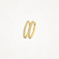 Blush Oorbellen 7309YZI