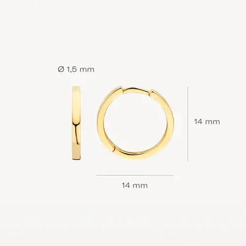 Blush Blush Oorbellen 7308YGO Blush Blush Oorbellen 7308YGO