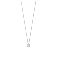 Ti Sento Ketting 34103ZY/42