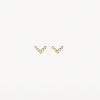 Blush Oorbellen 7374YZI