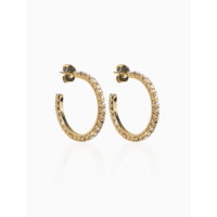 Copy of Lott Oorbellen CESW880-G38133