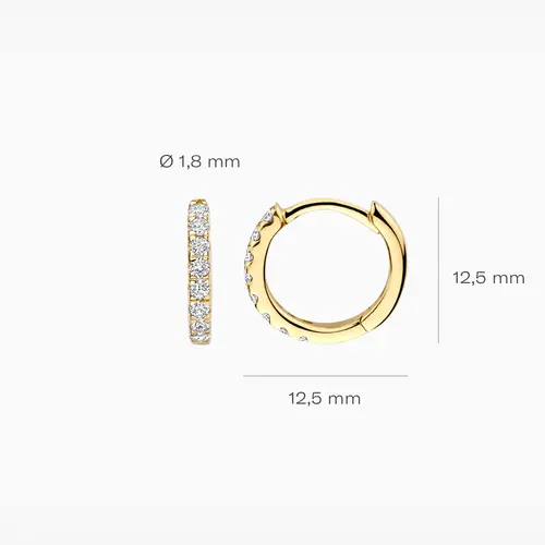 Blush Lab Diamonds Blush Lab Diamonds Oorbellen LG7029Y Blush Lab Diamonds Blush Lab Diamonds Oorbellen LG7029Y