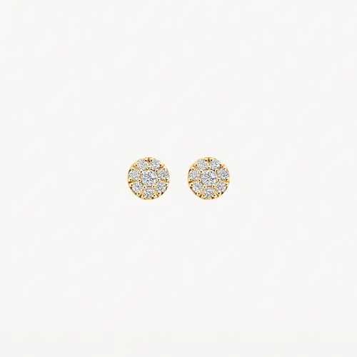 Blush Blush Oorbellen 7396YZI