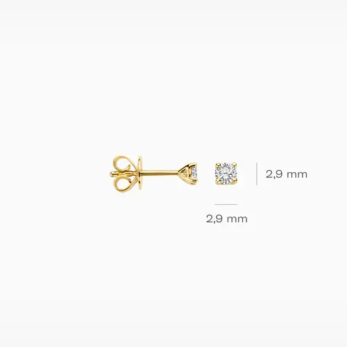 Blush Lab Diamonds Blush Lab Diamonds Oorbellen LG7000Y